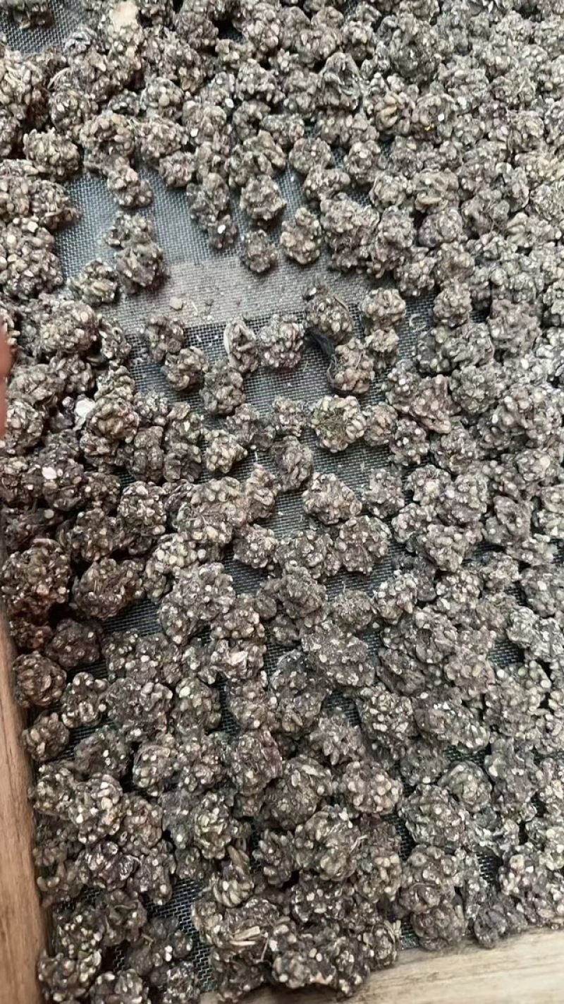 猫爪草水洗无硫正宗云南猫爪腾批发中药猫爪草