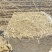 精品玉米秸秆二次柔丝压块牛马羊草料风选无土无膜无霉