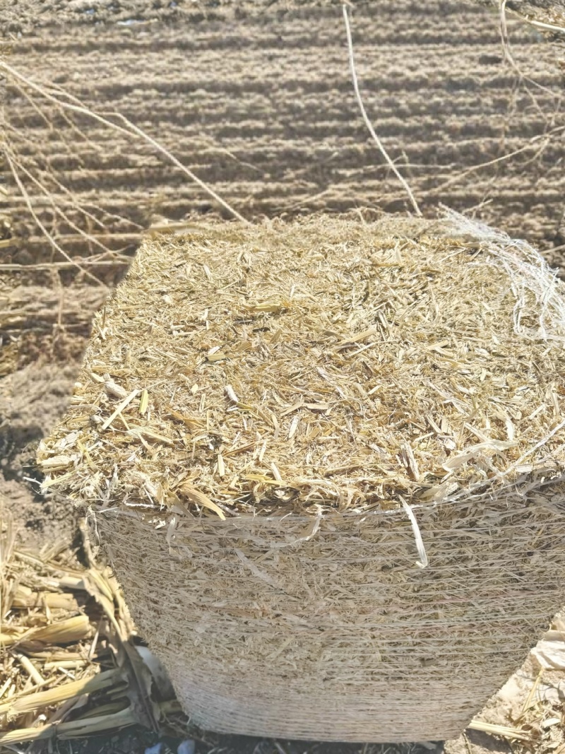 精品玉米秸秆二次柔丝压块牛马羊草料风选无土无膜无霉