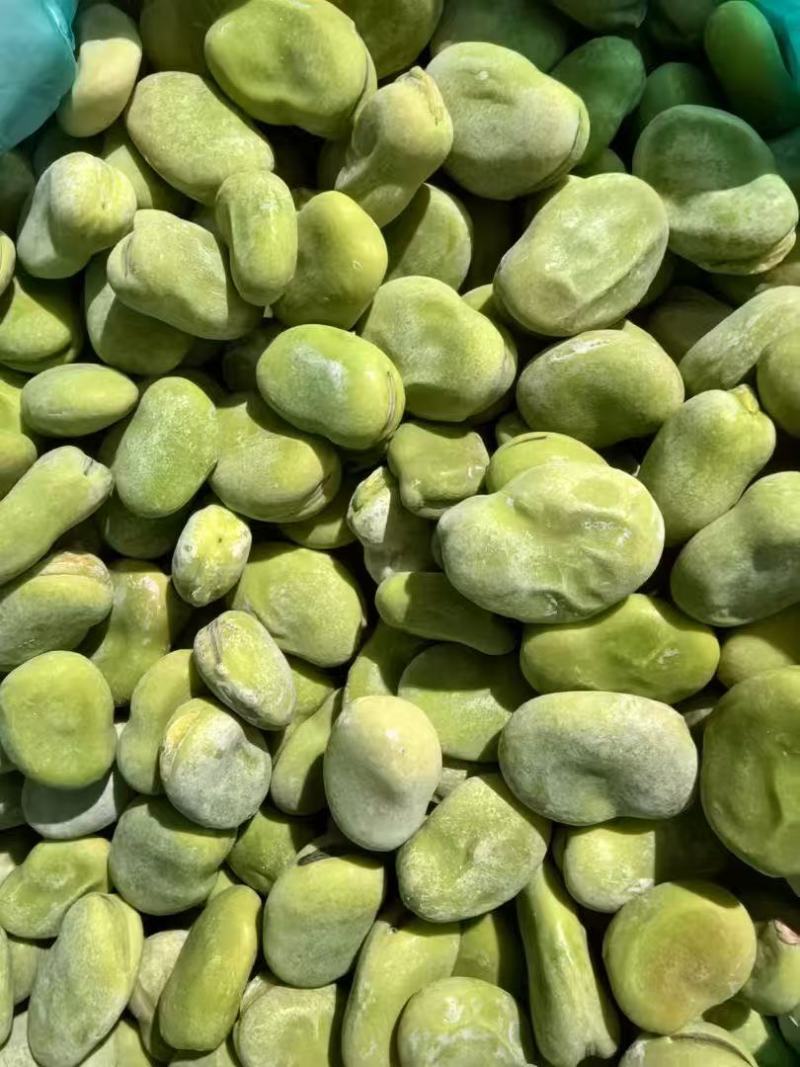 基地大板蚕豆大荚大粒饱满鲜嫩产地直供大量现货批发