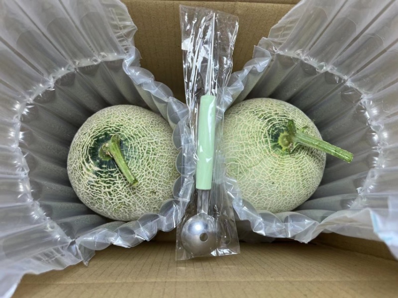 海阳网纹瓜主做一件代发