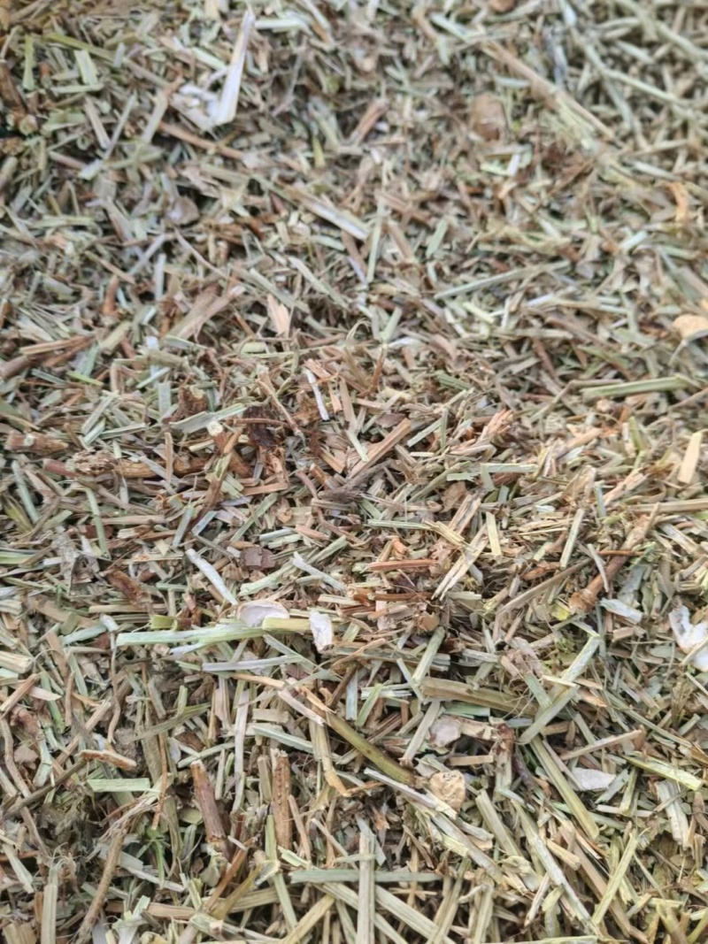 优质花生秧无土无霉产地直发牛羊饲料