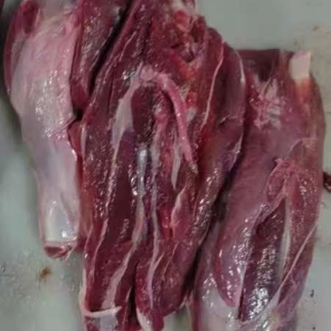 梅花鹿鹿肉