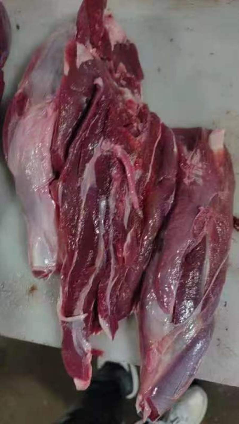 梅花鹿鹿肉