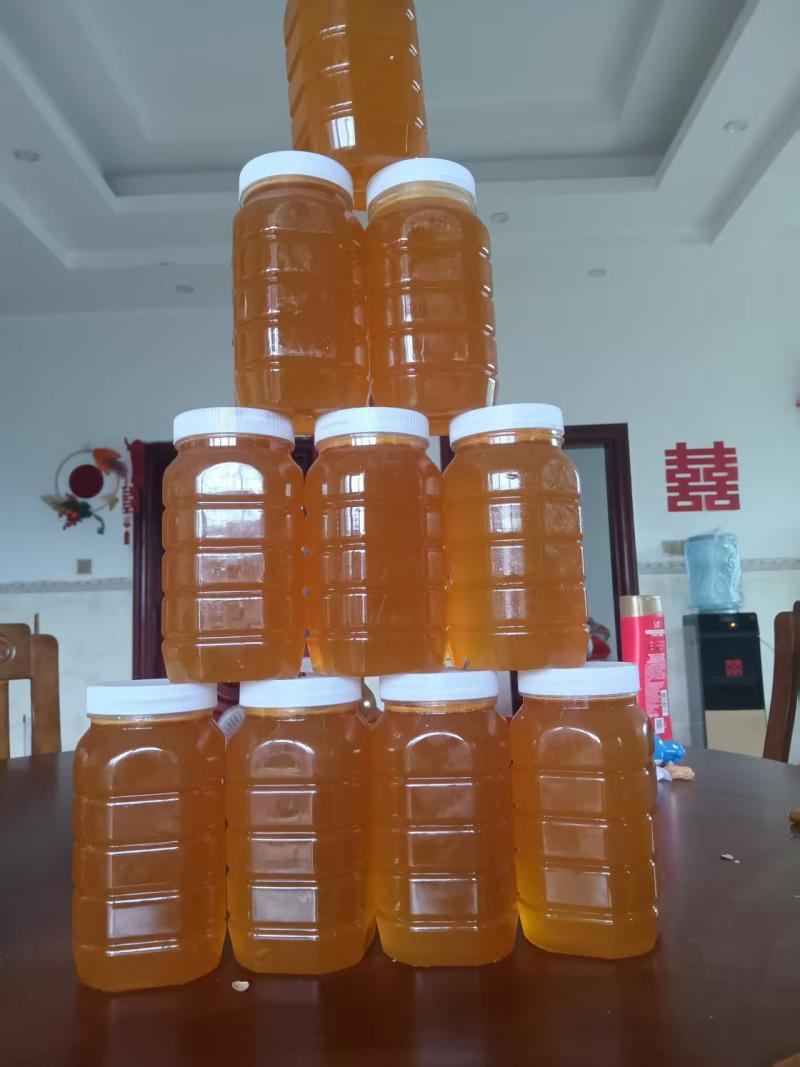 【推荐】广西土蜂蜜一件代发支持零售，小批量发货欢迎来电