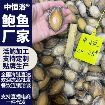 鲍鱼肉20-25头供应酒店餐饮电商商用海鲜冻品厂家批发