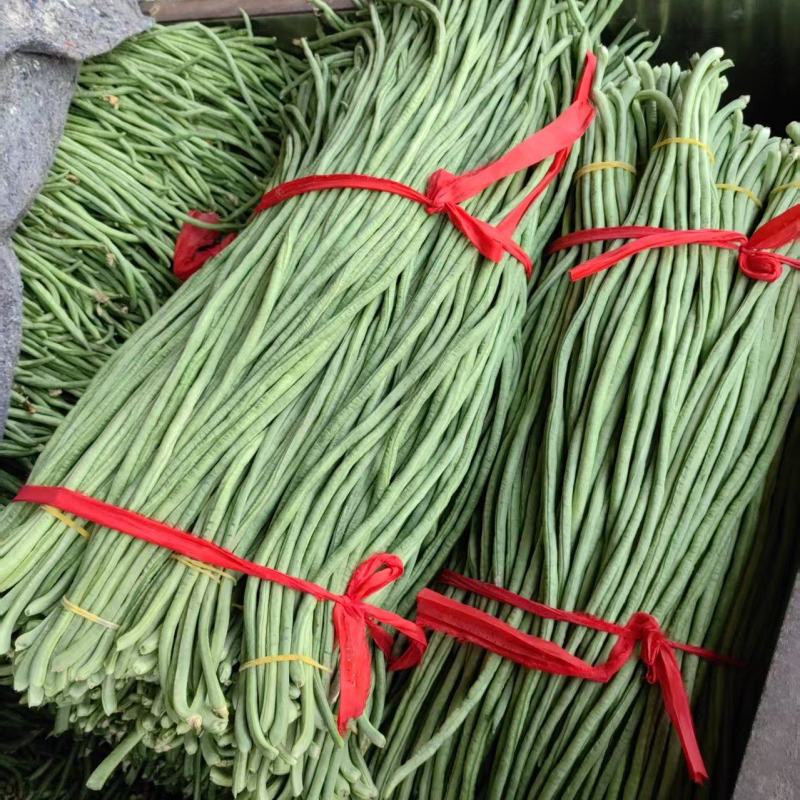 精品长豆角大量上市，全国发货，量大从优，可视频看货致电