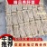 精品养肝草种植大户追求品质一手货源一年四季现挖现发保持货