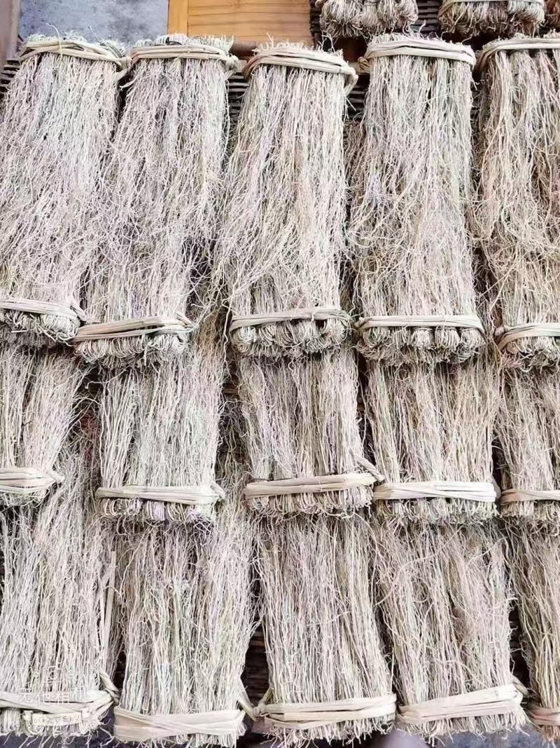 精品养肝草种植大户追求品质一手货源一年四季现挖现发保持货