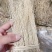 精品养肝草种植大户追求品质一手货源一年四季现挖现发保持货