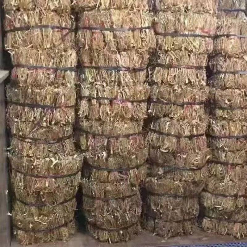 精品本地五指毛桃山地货香味十足干度十足广东韵关山区货