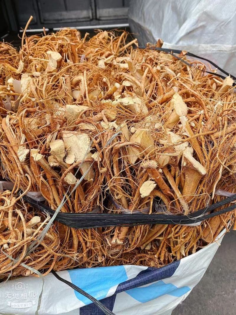 精品本地五指毛桃山地货香味十足干度十足广东韵关山区货