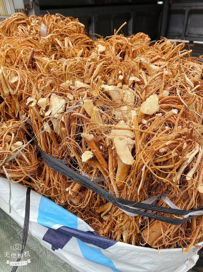 精品本地五指毛桃山地货香味十足干度十足广东韵关山区货