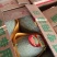 精品小蜜25即将上市品质保证现摘现发欢迎来电洽谈