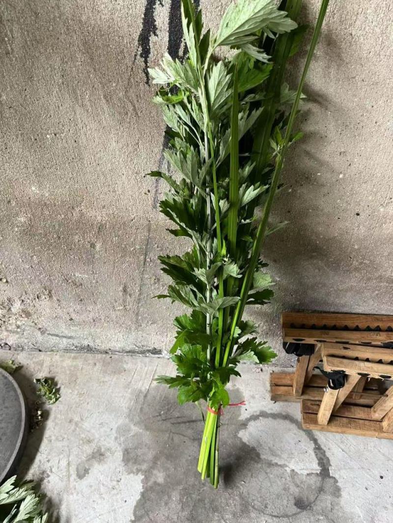新鲜艾草大量上市，诚信经营，品质保证，产地直发