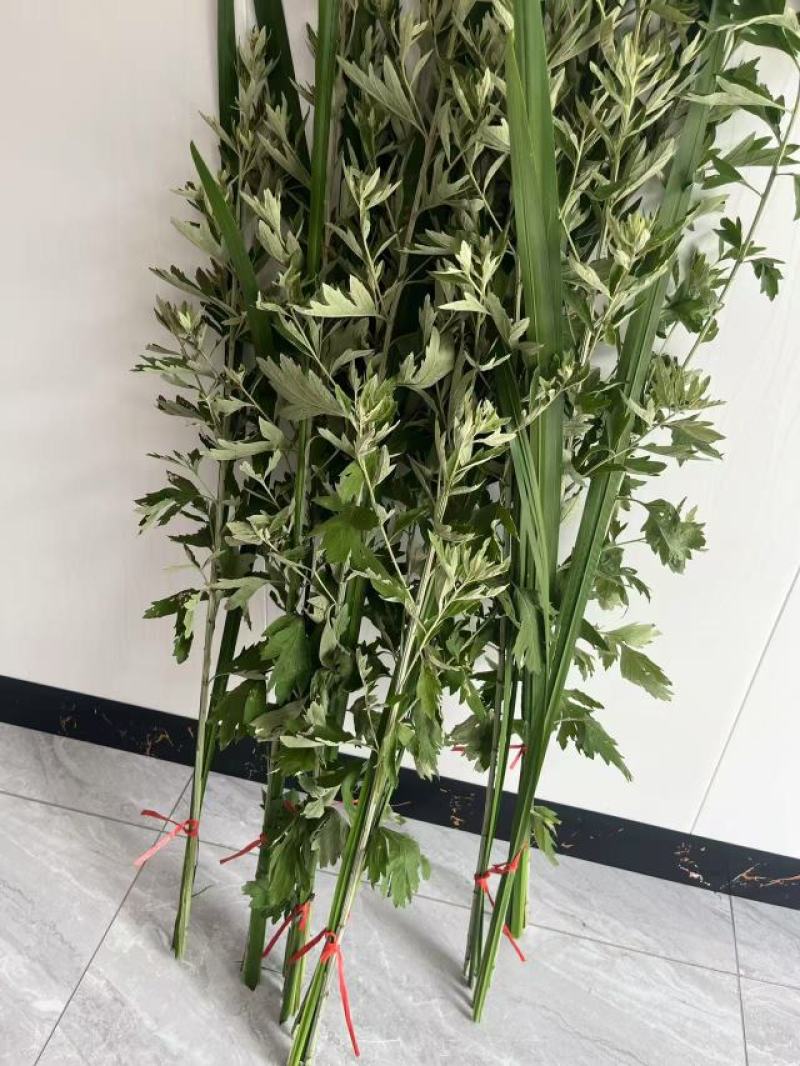 新鲜艾草大量上市，诚信经营，品质保证，产地直发