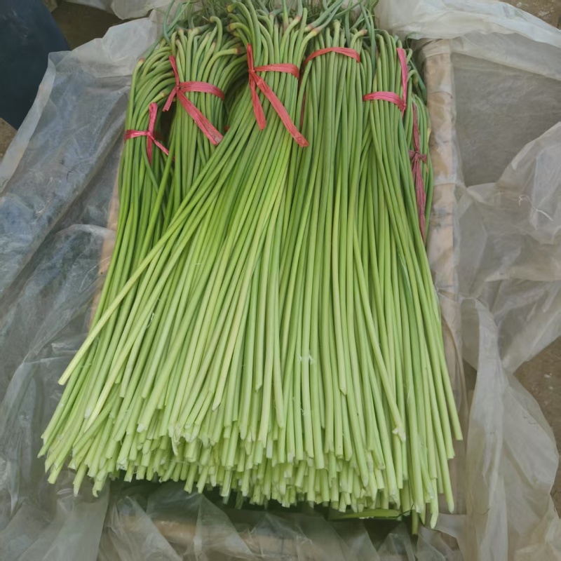 精品蒜苔继续接单价格美丽承接社区团购市场档口超市电商平台