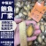 鲍鱼肉30-40头1斤新鲜速冻鲍鱼肉一手货源厂家直发