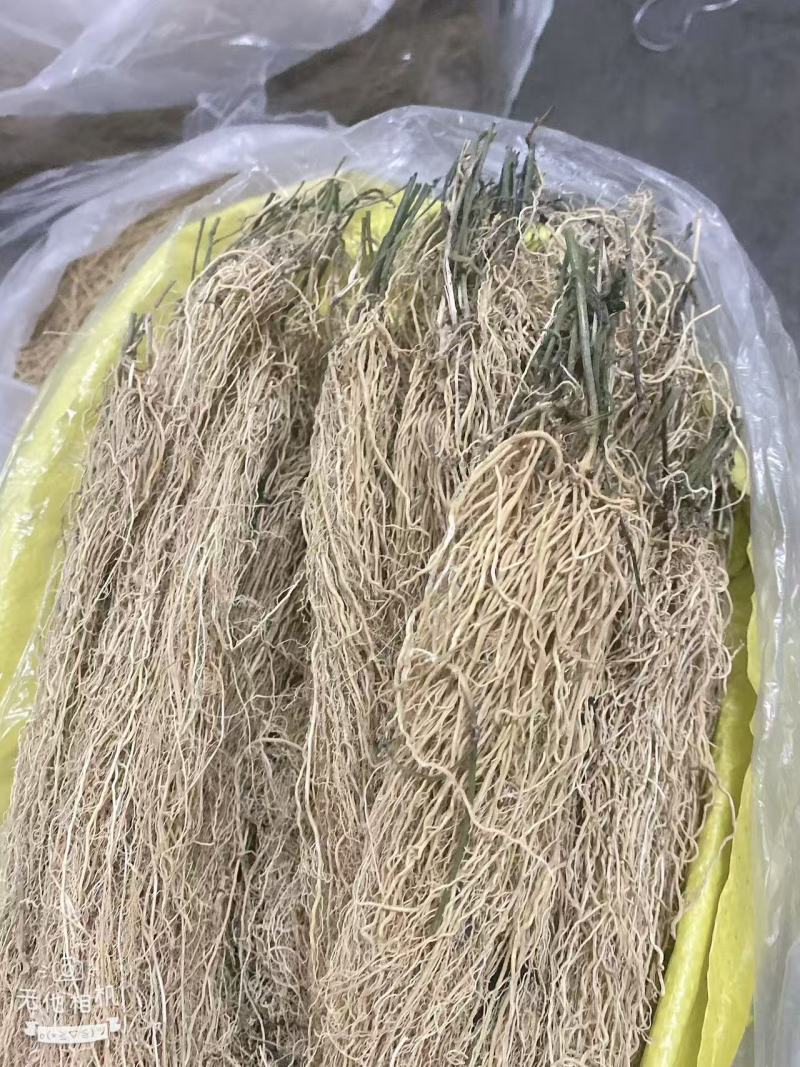 徐长卿百条根老君须产地直发一手货源大量批发