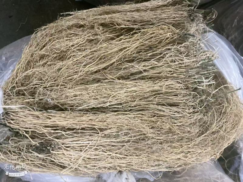 徐长卿百条根老君须产地直发一手货源大量批发