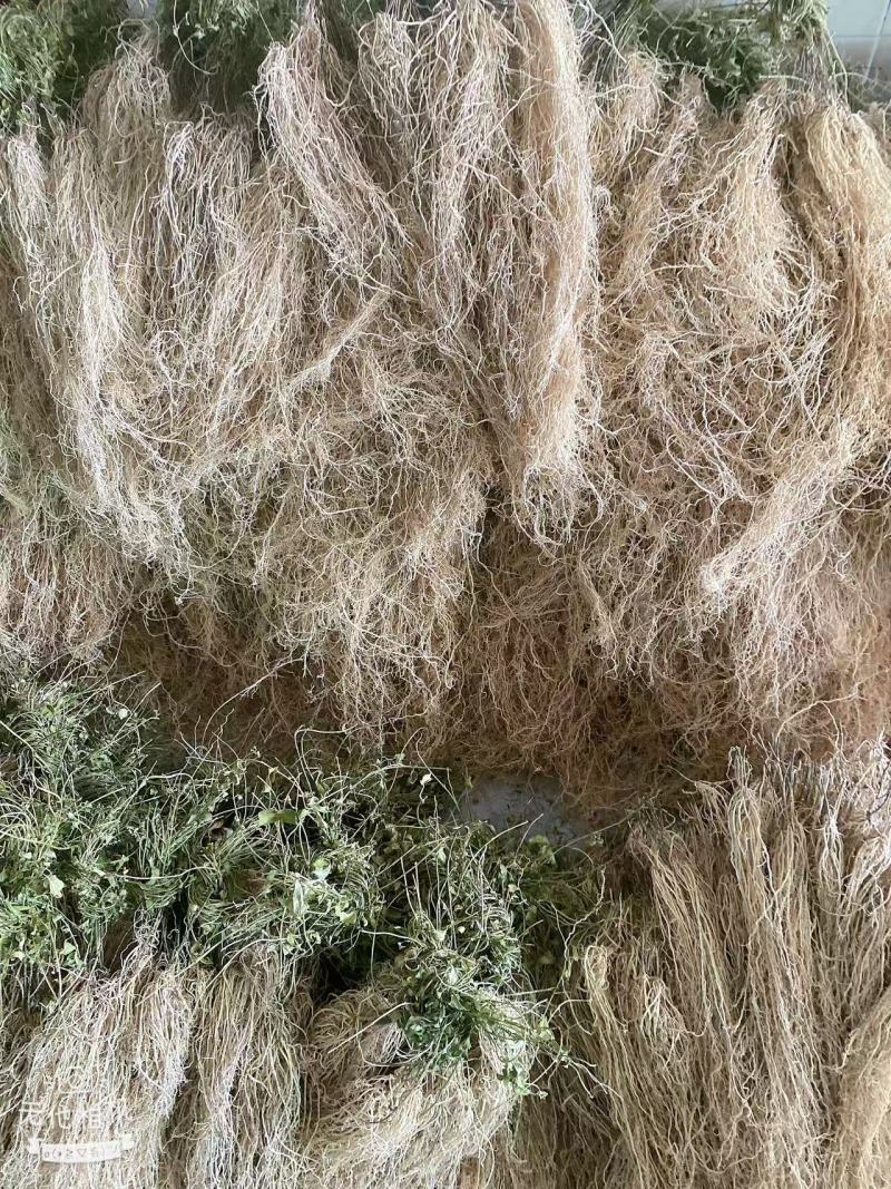 徐长卿百条根老君须产地直发一手货源大量批发