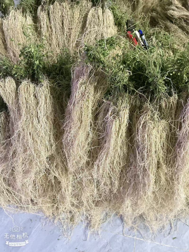 徐长卿百条根老君须产地直发一手货源大量批发
