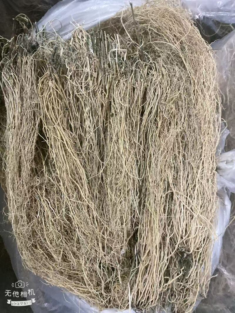 徐长卿百条根老君须产地直发一手货源大量批发