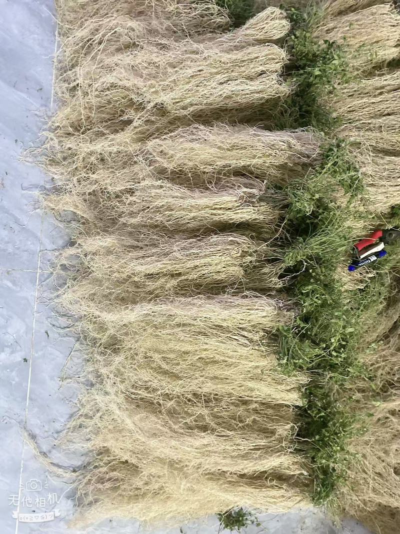 徐长卿百条根老君须产地直发一手货源大量批发