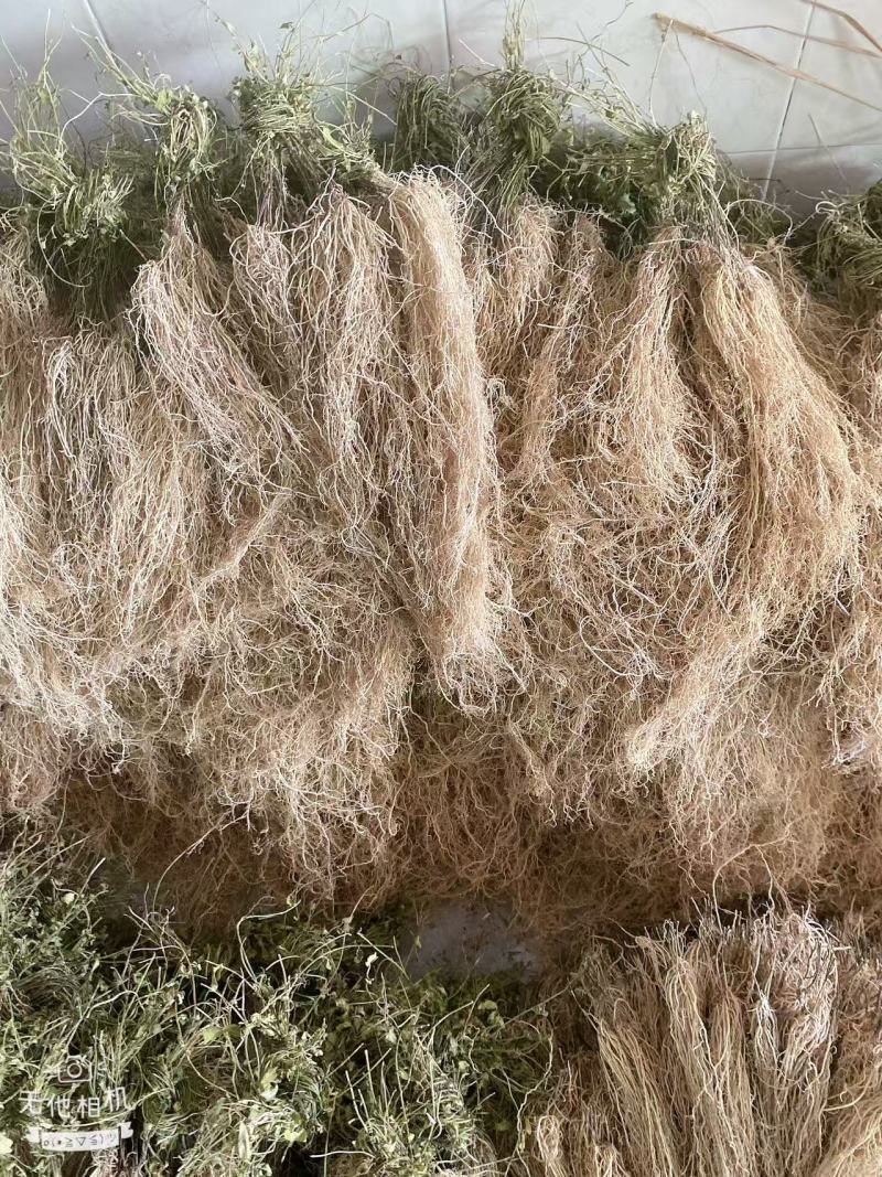 徐长卿百条根老君须产地直发一手货源大量批发