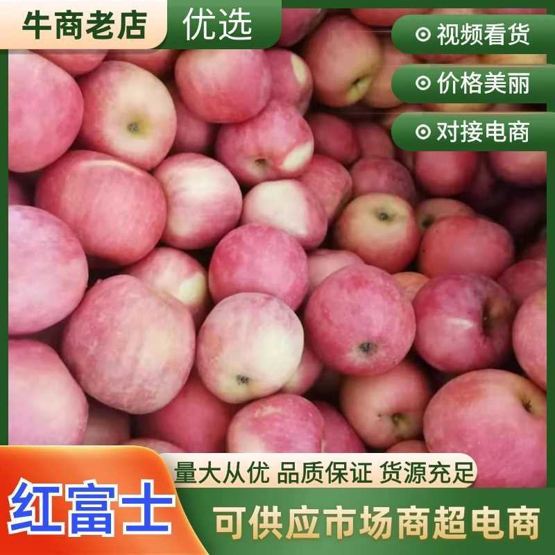 栖霞精品红富士苹果，货源充足全国发货，量大从优致电联系