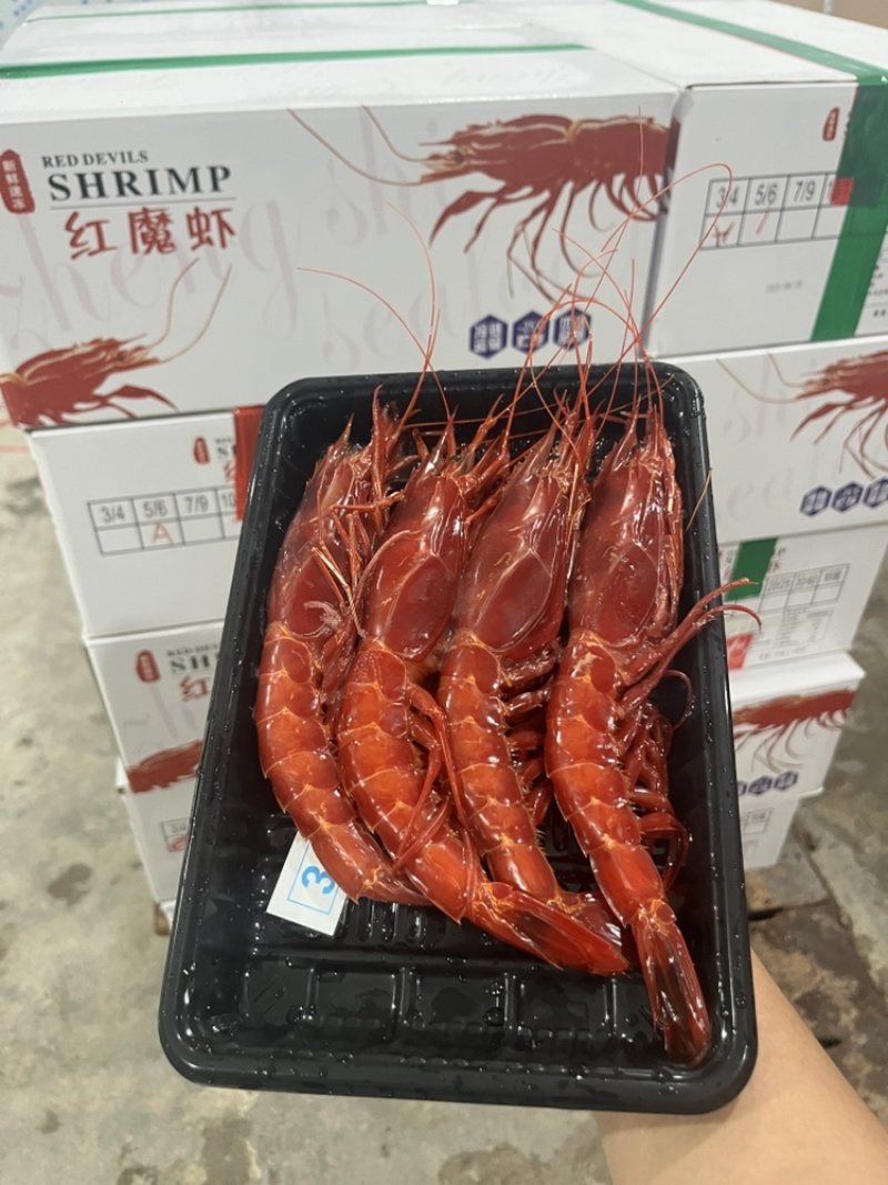 红魔虾特大甜虾刺身日料一手货源厂家批发