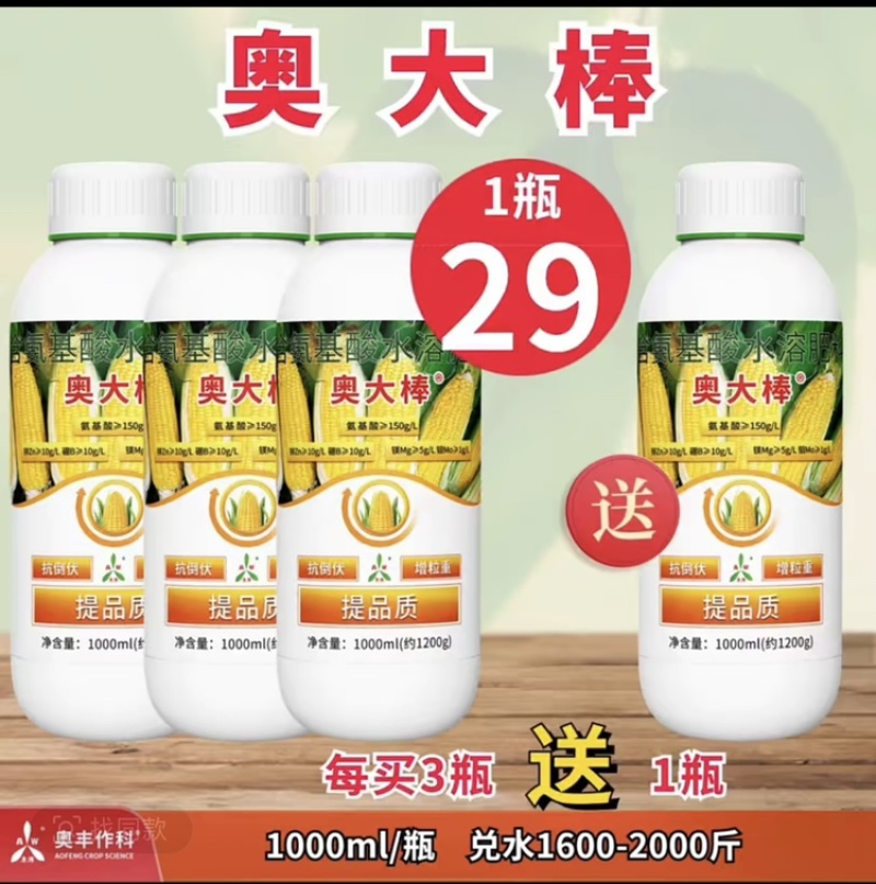 奥丰奥大棒玉米提苗壮苗茎秆粗壮提质增产