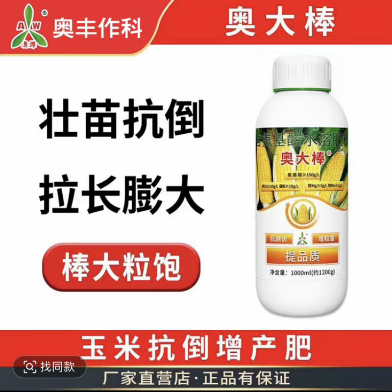 奥丰奥大棒玉米提苗壮苗茎秆粗壮提质增产