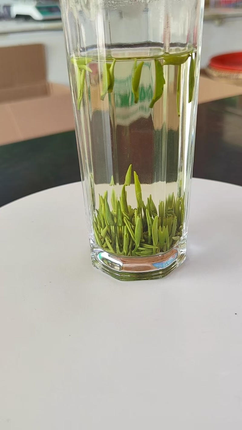 湄潭翠芽源头产地量大从优全国可发，价格透明