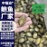 鲍鱼肉80-100头【鲍鱼厂家】新鲜速冻鲍鱼纯肉厂家批发