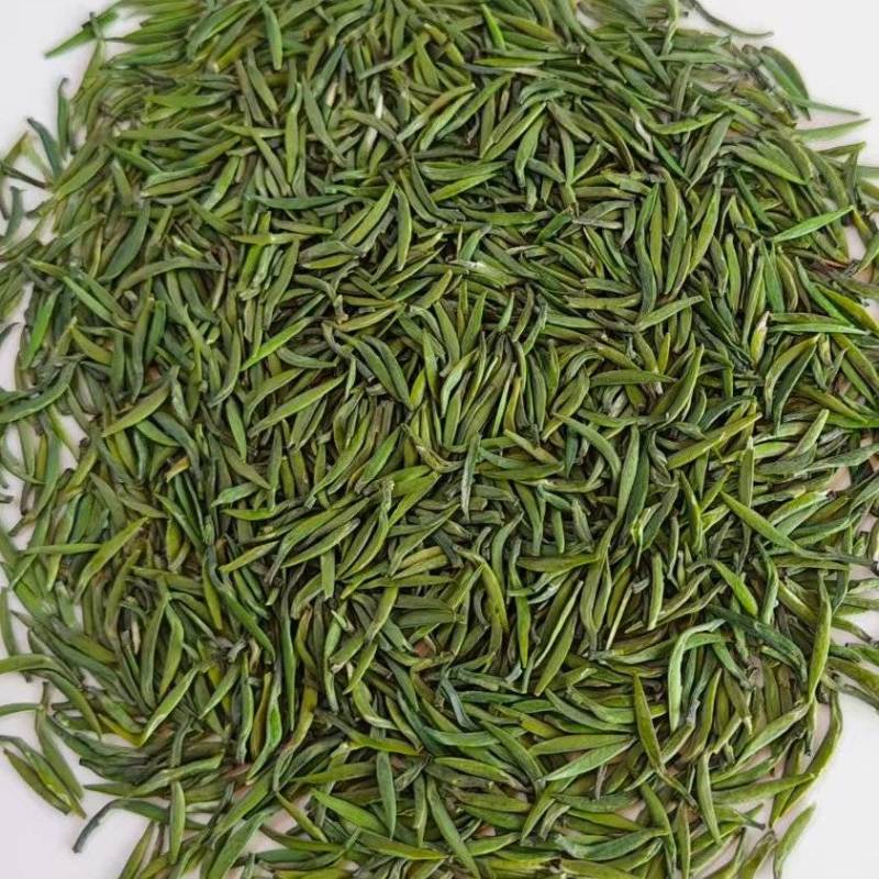 贵州精品湄潭翠芽全国可发一手货源价格美丽欢迎电话联系