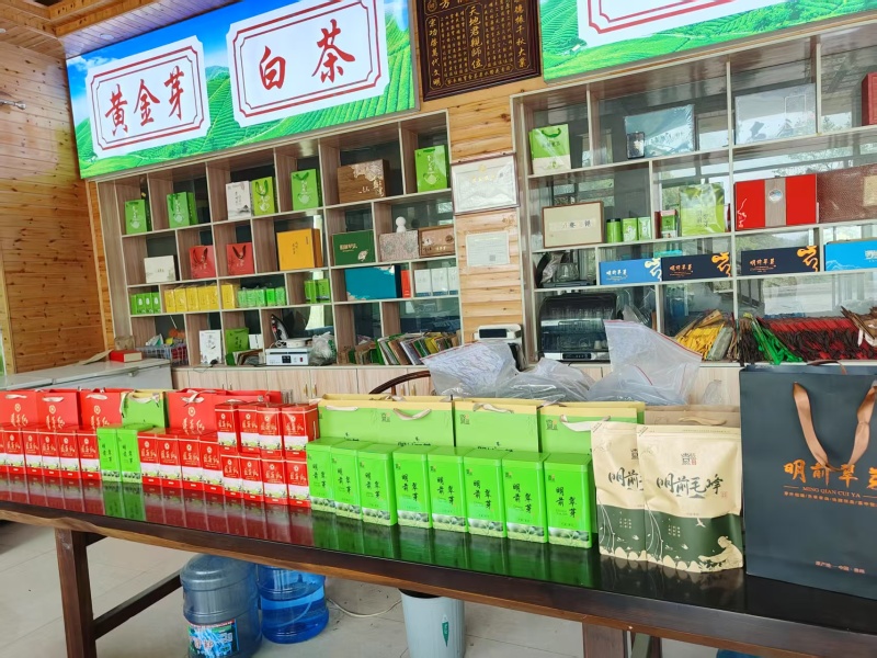 贵州精品湄潭翠芽，明前翠芽全国可发，一手货源源头产地