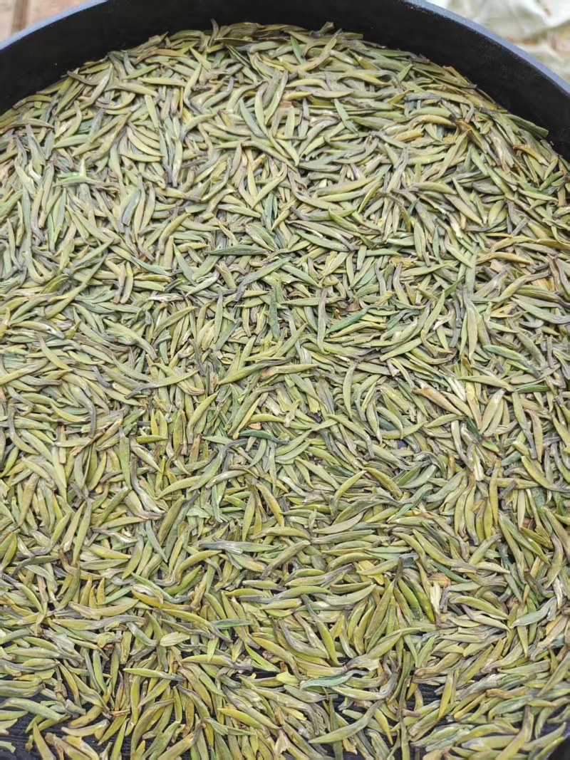 贵州精品湄潭翠芽，明前翠芽全国可发，一手货源源头产地