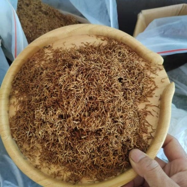贵州特级遵义红茶叶，全国可发，价格透明，源头产地