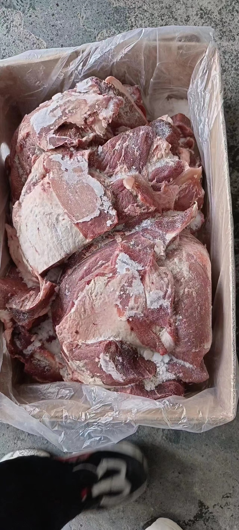 牛肉，牛前，牛后，牛脖肉，肩胛，背肩，保乐肩，眼肉，腱子