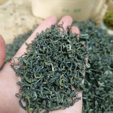 贵州特级毛峰茶叶全国可发质量保证全国可发一手货源