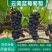 云南建水夏黑葡萄可供应全国各地电商平台，社区团购，超市等