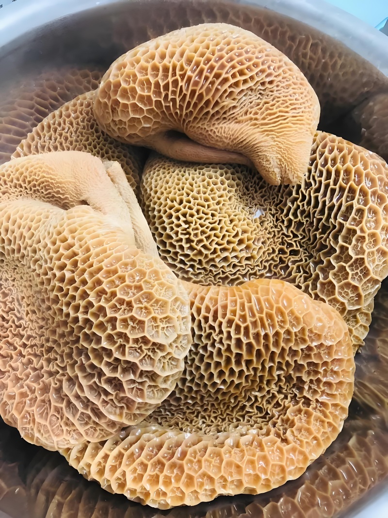 牛肚