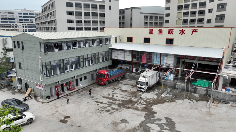 【牛商推荐-甄选鮰鱼】产地直发品质保障诚信经营