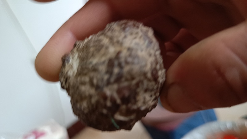 羊宝