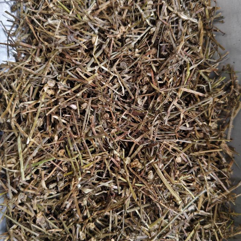 中药材白花蛇舌草干净无杂质精品白花蛇舌草段散装批发