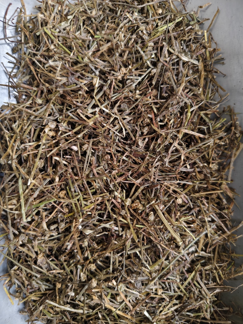 中药材白花蛇舌草干净无杂质精品白花蛇舌草段散装批发