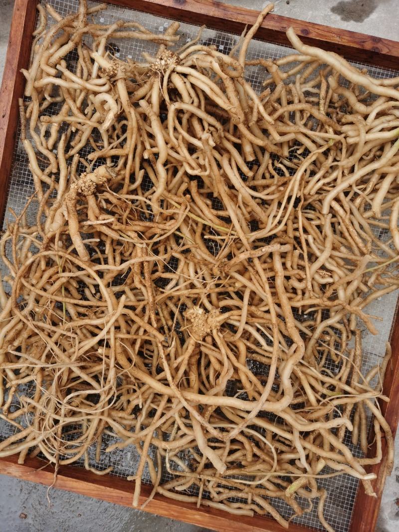 牛漆，干货货包邮
