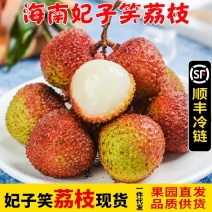 海南妃子笑荔枝空运直发一件代发