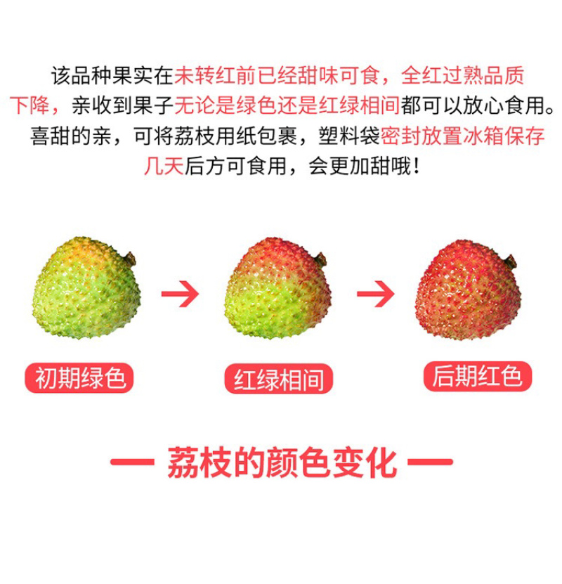 海南妃子笑荔枝空运直发一件代发